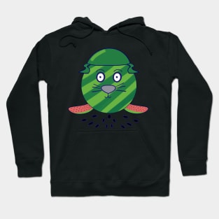 Kawaii Cute Watermelon Baby Seal Hoodie